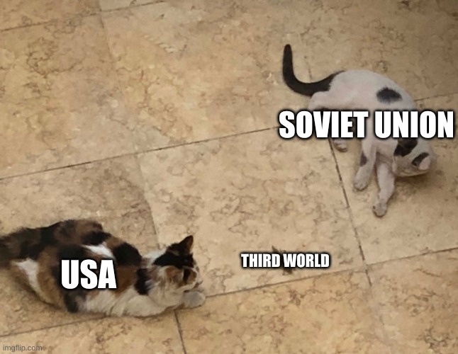 Cold War In A Nutshell | SOVIET UNION; THIRD WORLD; USA | image tagged in two cats and a bug | made w/ Imgflip meme maker