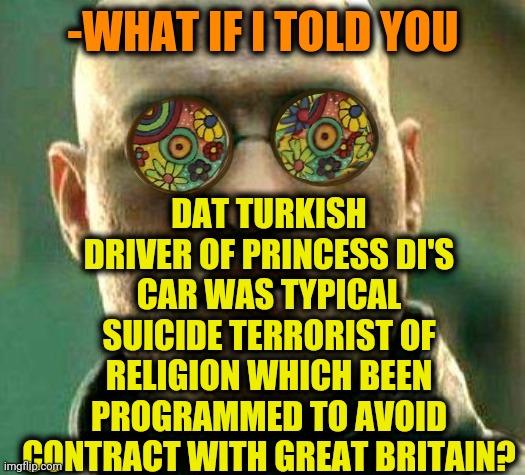 -As going on. | -WHAT IF I TOLD YOU; DAT TURKISH DRIVER OF PRINCESS DI'S CAR WAS TYPICAL SUICIDE TERRORIST OF RELIGION WHICH BEEN PROGRAMMED TO AVOID CONTRACT WITH GREAT BRITAIN? | image tagged in princess bride,turkish,acid kicks in morpheus,bad drivers,saudi arabia,great britain | made w/ Imgflip meme maker