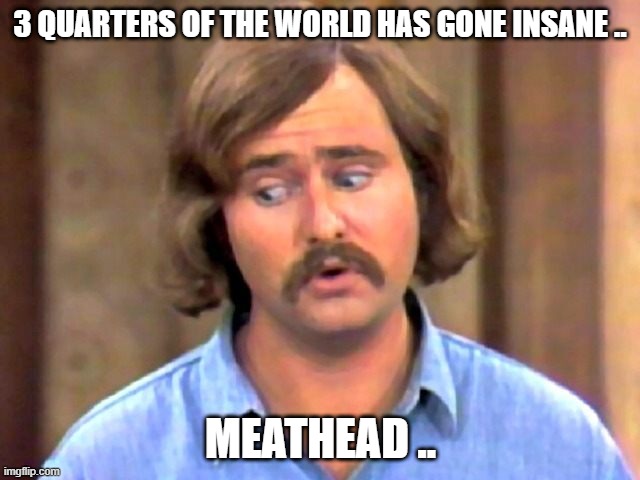 meathead | 3 QUARTERS OF THE WORLD HAS GONE INSANE .. MEATHEAD .. | image tagged in oh really | made w/ Imgflip meme maker