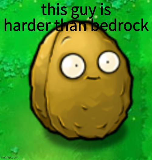 Wall-Nut | this guy is harder than bedrock | image tagged in wall-nut,pvz | made w/ Imgflip meme maker
