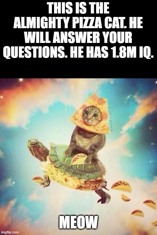 The Almighty Pizza Cat - Not a repost lel | THIS IS THE ALMIGHTY PIZZA CAT. HE WILL ANSWER YOUR QUESTIONS. HE HAS 1.8M IQ. MEOW | image tagged in space pizza cat turtle tacos,e,a,i,o,uuuuu | made w/ Imgflip meme maker