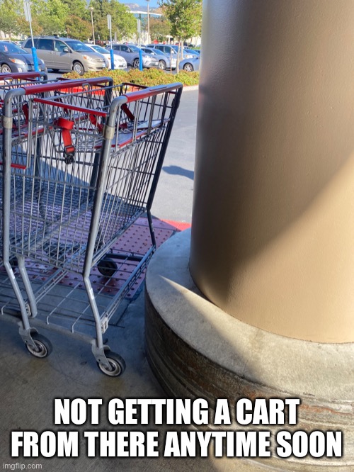 Lol | NOT GETTING A CART FROM THERE ANYTIME SOON | image tagged in bad luck brian | made w/ Imgflip meme maker