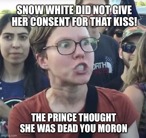 Forever Triggered | SNOW WHITE DID NOT GIVE HER CONSENT FOR THAT KISS! THE PRINCE THOUGHT SHE WAS DEAD YOU MORON | image tagged in triggered feminist,snow white,woke | made w/ Imgflip meme maker
