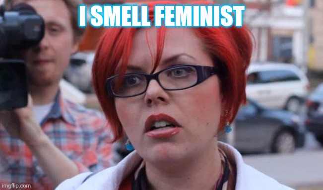 Angry Feminist | I SMELL FEMINIST | image tagged in angry feminist | made w/ Imgflip meme maker