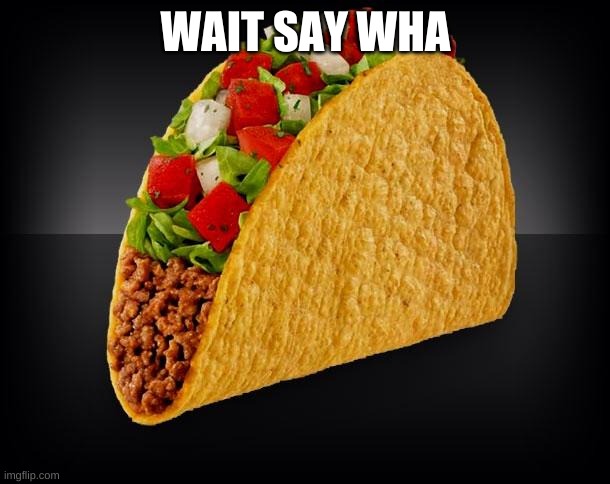 Taco | WAIT SAY WHA | image tagged in taco | made w/ Imgflip meme maker