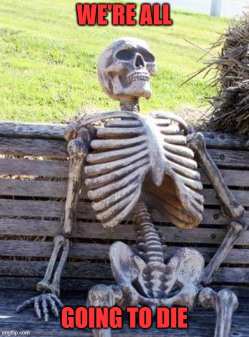 Waiting Skeleton Meme | WE'RE ALL GOING TO DIE | image tagged in memes,waiting skeleton | made w/ Imgflip meme maker