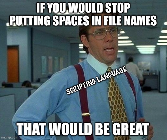 Spaces | IF YOU WOULD STOP PUTTING SPACES IN FILE NAMES; SCRIPTING LANGUAGE; THAT WOULD BE GREAT | image tagged in memes,that would be great,spaces,scripting | made w/ Imgflip meme maker