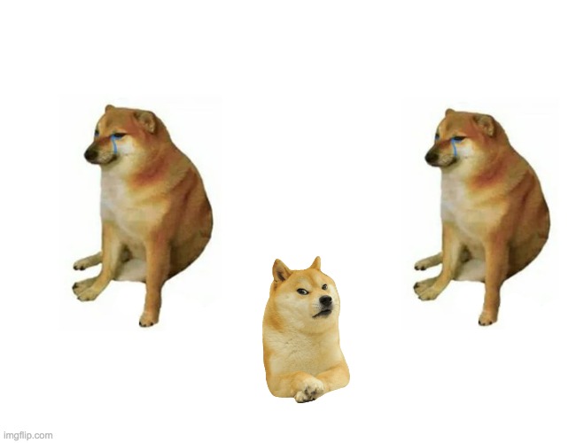 doggo | image tagged in thicc doggo,sad doggo,mad doggo,emotions,so many doggos | made w/ Imgflip meme maker