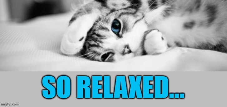 The Weekend Is Almost Here...Looking Forward To Being... | 09 | image tagged in memes,cats,almost there,weekend,so,relaxed | made w/ Imgflip meme maker