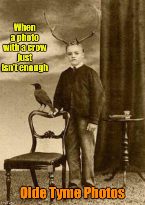 Wonder what his school photo looked like |  When a photo with a crow just isn’t enough; Olde Tyme Photos | image tagged in strange photos,antlers,crow,child | made w/ Imgflip meme maker