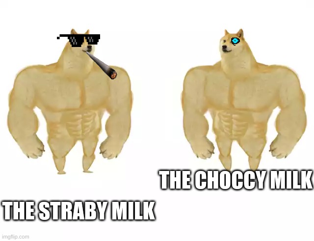 Hey if the Straby Milk Army doesn't stop I'm gonna declare a meme war | THE CHOCCY MILK; THE STRABY MILK | image tagged in choccy milk,straby milk,almost war | made w/ Imgflip meme maker
