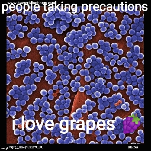 people eating grapes | image tagged in dank memes,covid-19 | made w/ Imgflip meme maker