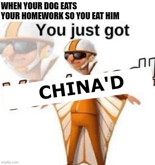You just got vectored | WHEN YOUR DOG EATS YOUR HOMEWORK SO YOU EAT HIM; CHINA'D | image tagged in you just got vectored | made w/ Imgflip meme maker