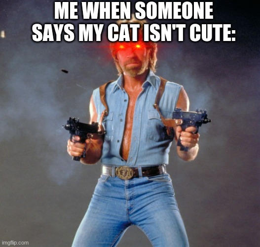 C a t | ME WHEN SOMEONE SAYS MY CAT ISN'T CUTE: | image tagged in memes,cat guns,sergio is the best,because yes,and because he is cute,also why is there a gun to my head | made w/ Imgflip meme maker