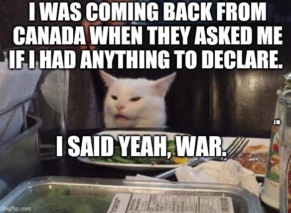 Salad cat | I WAS COMING BACK FROM CANADA WHEN THEY ASKED ME IF I HAD ANYTHING TO DECLARE. I SAID YEAH, WAR. J M | image tagged in salad cat | made w/ Imgflip meme maker