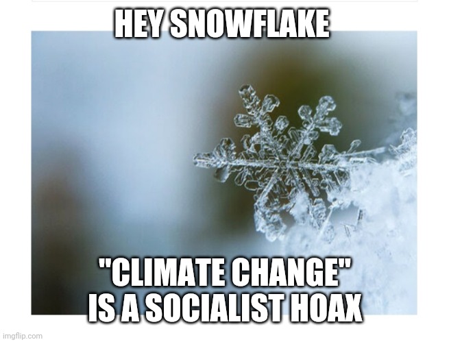 HEY SNOWFLAKE "CLIMATE CHANGE" IS A SOCIALIST HOAX | made w/ Imgflip meme maker