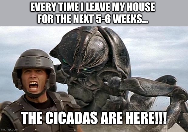 Cicadas are here!!! | EVERY TIME I LEAVE MY HOUSE 
FOR THE NEXT 5-6 WEEKS... THE CICADAS ARE HERE!!! | image tagged in starship troopers | made w/ Imgflip meme maker