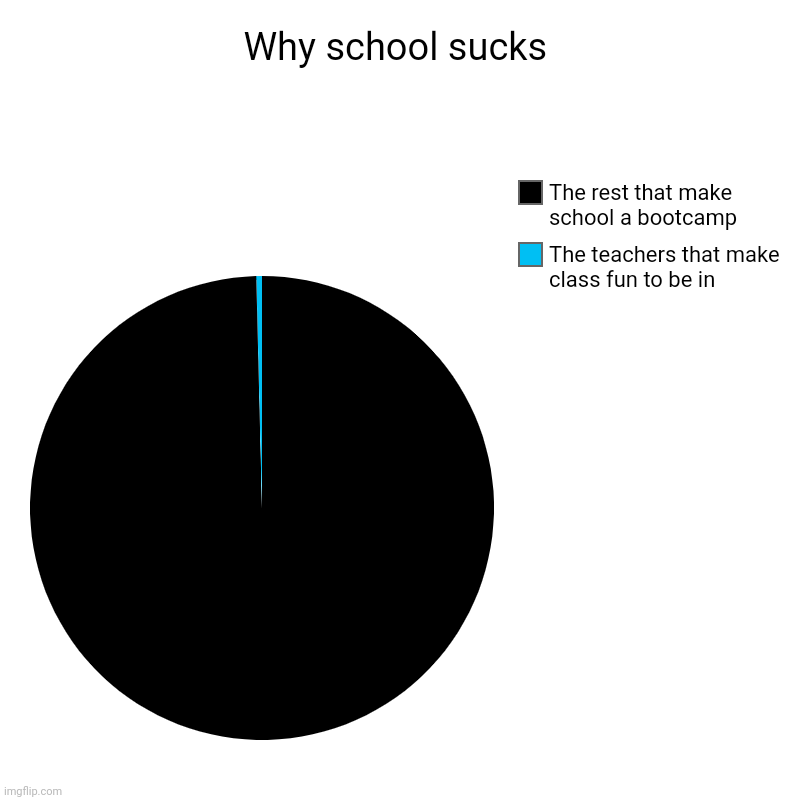 Why school sucks | Why school sucks | The teachers that make class fun to be in, The rest that make school a bootcamp | image tagged in charts,pie charts | made w/ Imgflip chart maker