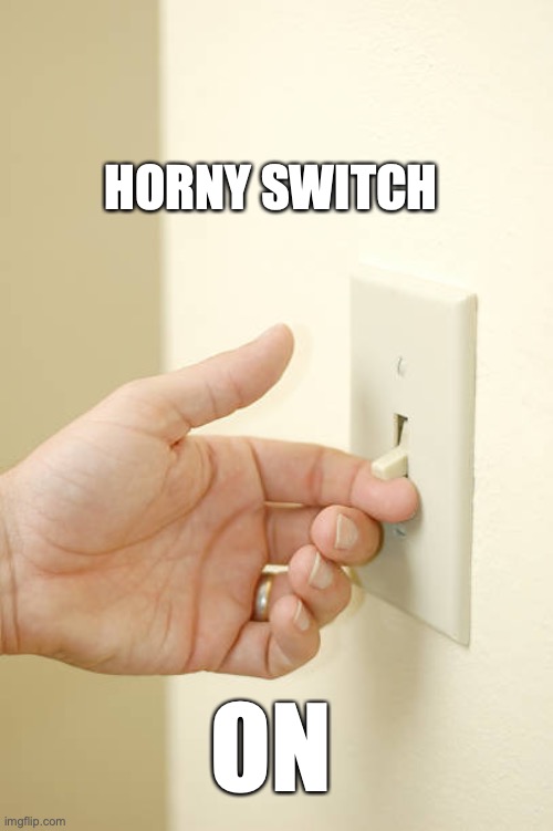 Light switch | HORNY SWITCH; ON | image tagged in light switch | made w/ Imgflip meme maker