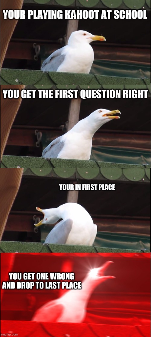 pain | YOUR PLAYING KAHOOT AT SCHOOL; YOU GET THE FIRST QUESTION RIGHT; YOUR IN FIRST PLACE; YOU GET ONE WRONG AND DROP TO LAST PLACE | image tagged in memes,inhaling seagull | made w/ Imgflip meme maker