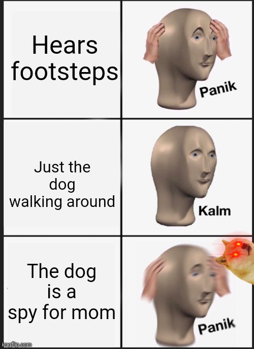 Dogo is watching | Hears footsteps; Just the dog walking around; The dog is a spy for mom | image tagged in memes,panik kalm panik | made w/ Imgflip meme maker