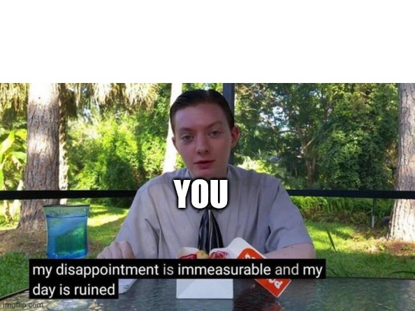 My day is ruined | YOU | image tagged in my day is ruined | made w/ Imgflip meme maker
