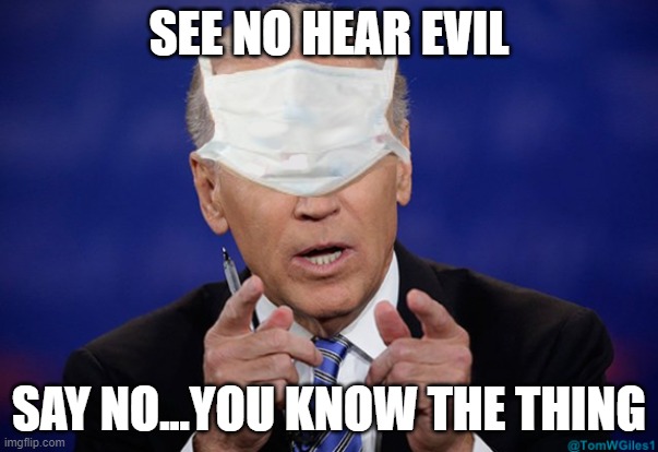 Joe biden covid mask | SEE NO HEAR EVIL; SAY NO...YOU KNOW THE THING | image tagged in joe biden covid mask | made w/ Imgflip meme maker