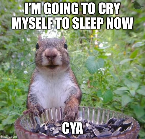 Walter squirrel | I’M GOING TO CRY MYSELF TO SLEEP NOW; CYA | image tagged in walter squirrel | made w/ Imgflip meme maker