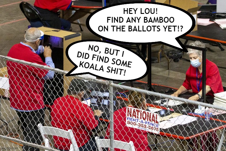 Arizona hackers tampering with 2020 election ballots -- looking for bamboo! ??? | HEY LOU!
FIND ANY BAMBOO
ON THE BALLOTS YET!? NO, BUT I
DID FIND SOME
KOALA SHIT! | image tagged in arizona,idiots,votes,election 2020,big,lie | made w/ Imgflip meme maker