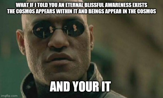Matrix Morpheus Meme | WHAT IF I TOLD YOU AN ETERNAL BLISSFUL AWARENESS EXISTS THE COSMOS APPEARS WITHIN IT AND BEINGS APPEAR IN THE COSMOS; AND YOUR IT | image tagged in memes,matrix morpheus | made w/ Imgflip meme maker