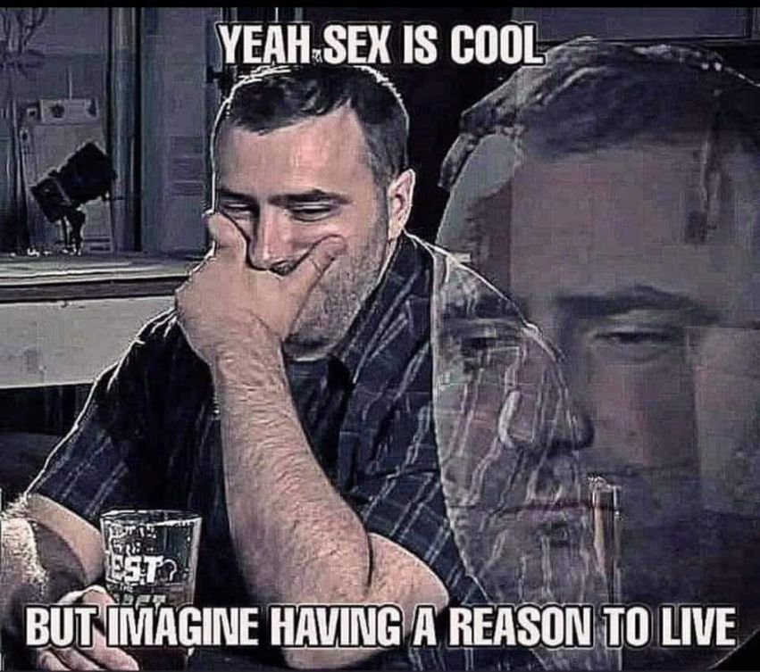 High Quality Sex is cool but imagine having a reason to live Blank Meme Template