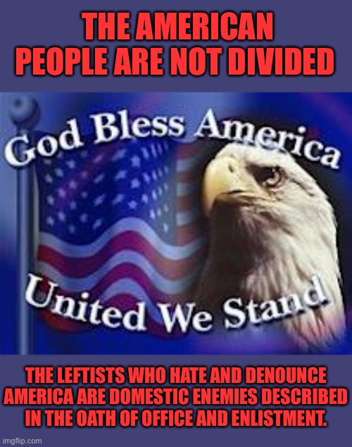 Oath of Office | THE AMERICAN PEOPLE ARE NOT DIVIDED; THE LEFTISTS WHO HATE AND DENOUNCE AMERICA ARE DOMESTIC ENEMIES DESCRIBED IN THE OATH OF OFFICE AND ENLISTMENT. | image tagged in the constitution,defense,enemies,leftists,progressives,traitors | made w/ Imgflip meme maker