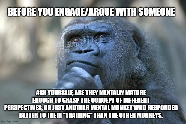 that is the question | BEFORE YOU ENGAGE/ARGUE WITH SOMEONE; ASK YOURSELF, ARE THEY MENTALLY MATURE ENOUGH TO GRASP THE CONCEPT OF DIFFERENT PERSPECTIVES, OR JUST ANOTHER MENTAL MONKEY WHO RESPONDED BETTER TO THEIR "TRAINING" THAN THE OTHER MONKEYS. | image tagged in that is the question | made w/ Imgflip meme maker