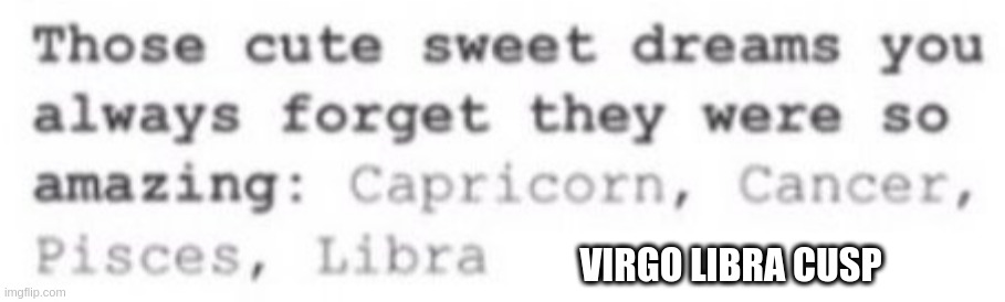 VIRGO LIBRA CUSP | made w/ Imgflip meme maker