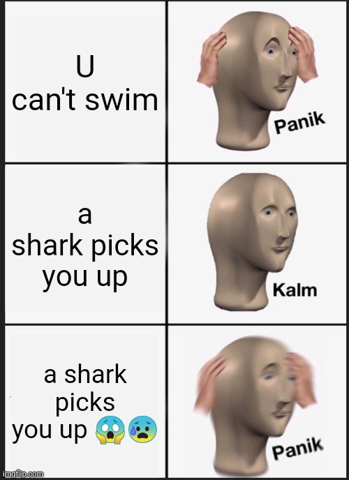 Panic. | U can't swim; a shark picks you up; a shark picks you up 😱😰 | image tagged in lol | made w/ Imgflip meme maker