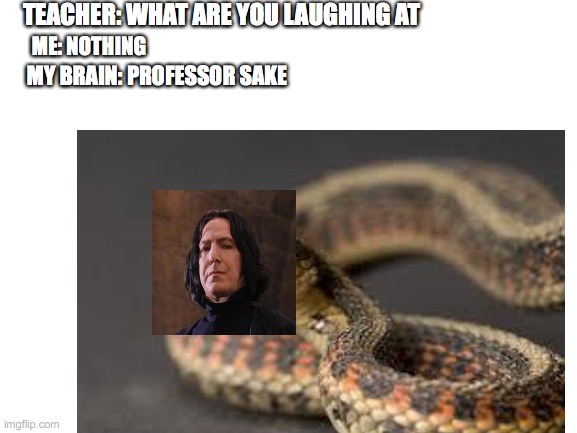professor snake | TEACHER: WHAT ARE YOU LAUGHING AT; ME: NOTHING; MY BRAIN: PROFESSOR SAKE | image tagged in lol,lol so funny,memes,professor snape | made w/ Imgflip meme maker