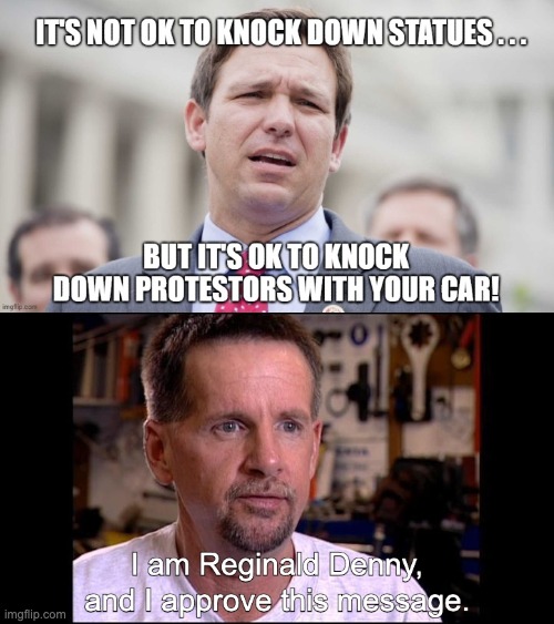 Sounds good to Reggie | image tagged in desantis,peaceful protests,riots,blm | made w/ Imgflip meme maker