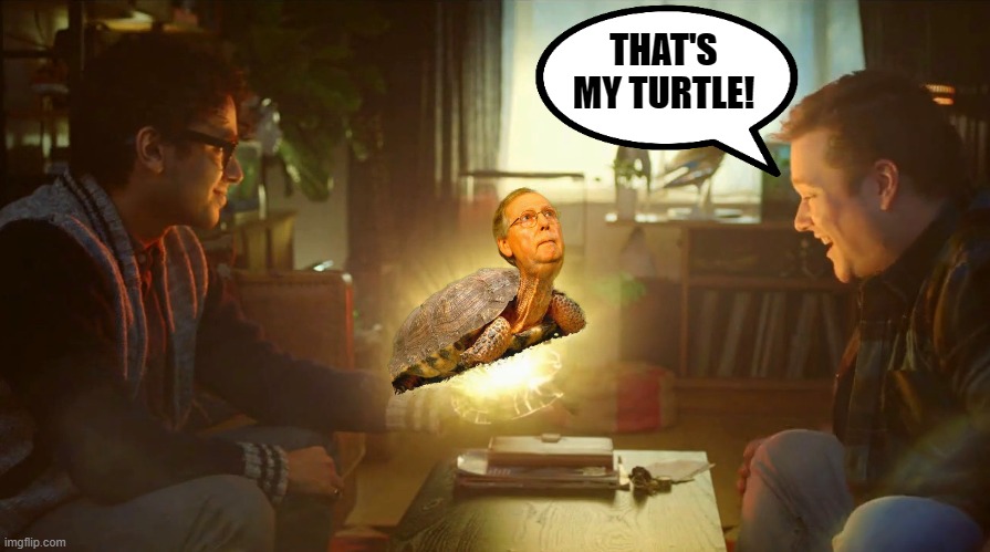 That's my turtle Mitch McConnell | THAT'S MY TURTLE! | image tagged in mitch mcconnell,turtle,turtle meme | made w/ Imgflip meme maker