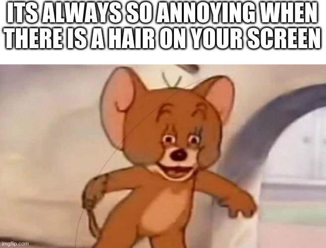 ITS ALWAYS SO ANNOYING WHEN THERE IS A HAIR ON YOUR SCREEN | image tagged in tom and jerry | made w/ Imgflip meme maker