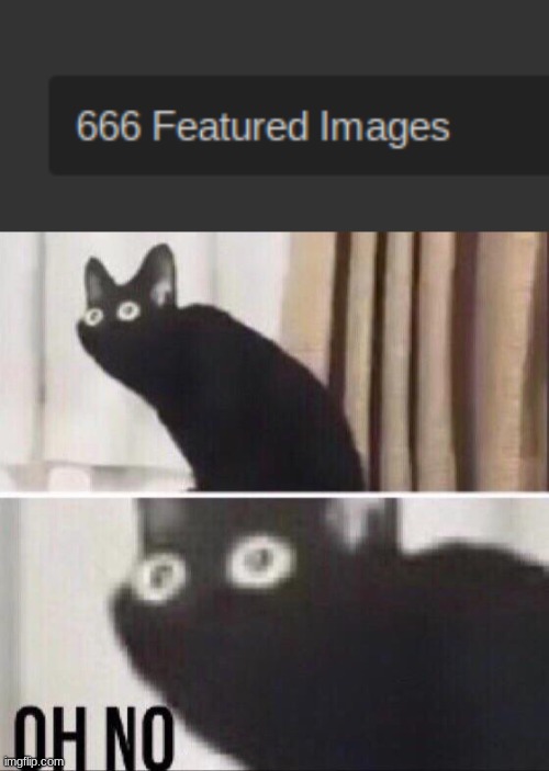 AAAAAAAAAAAAAAAAAAAAAAAA | image tagged in oh no cat | made w/ Imgflip meme maker