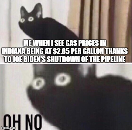 Keystone Pipeline after shutdown goes brrr | ME WHEN I SEE GAS PRICES IN INDIANA BEING AT $2.85 PER GALLON THANKS TO JOE BIDEN'S SHUTDOWN OF THE PIPELINE | image tagged in oh no cat,memes | made w/ Imgflip meme maker