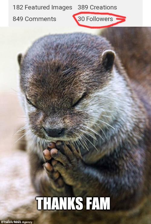30 followers yay! | THANKS FAM | image tagged in thank you lord otter | made w/ Imgflip meme maker