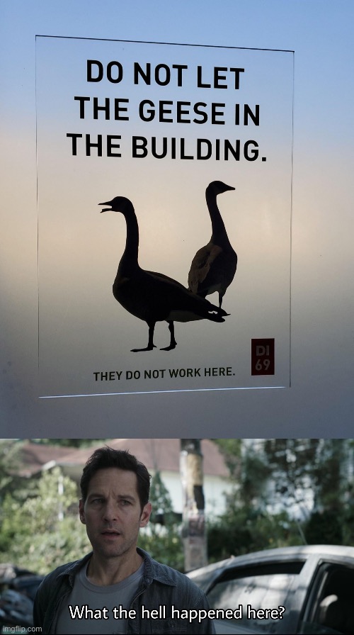 What the fu— | image tagged in what the hell happened here | made w/ Imgflip meme maker