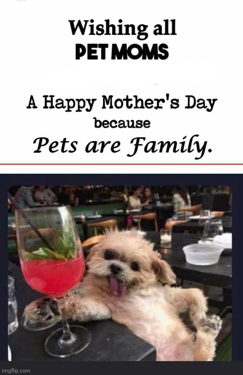 Mother's Day | image tagged in celebration | made w/ Imgflip meme maker