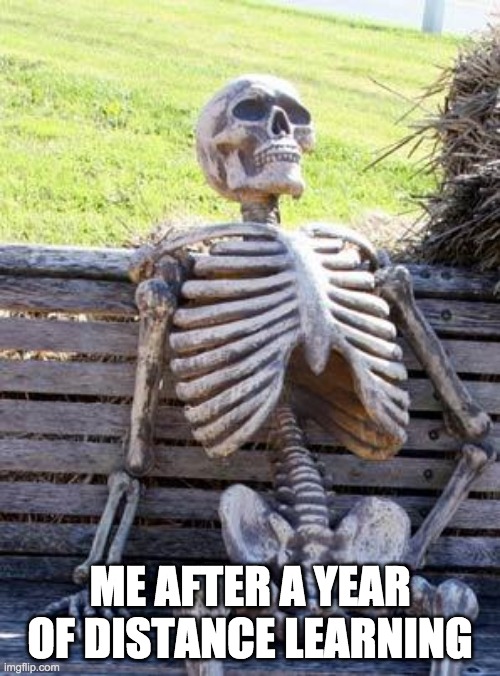 Waiting Skeleton | ME AFTER A YEAR OF DISTANCE LEARNING | image tagged in memes,waiting skeleton | made w/ Imgflip meme maker
