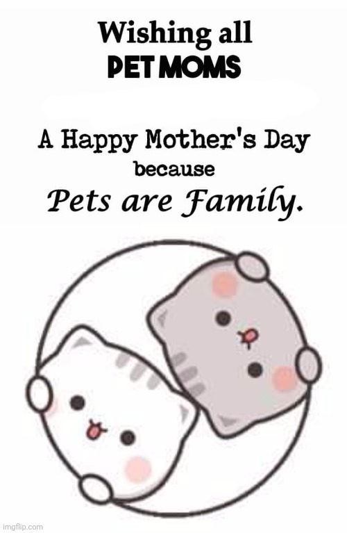 Mother's day | image tagged in cats are awesome | made w/ Imgflip meme maker