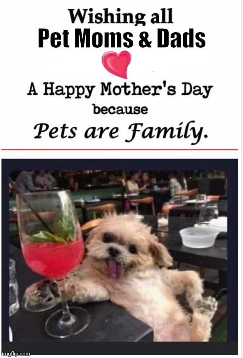 Mother's Day | Pet Moms & Dads | image tagged in dogs | made w/ Imgflip meme maker