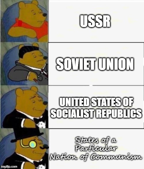 What to call the Soviet union | USSR; SOVIET UNION; UNITED STATES OF SOCIALIST REPUBLICS; States of a Particular Nation of Communism | image tagged in tuxedo winnie the pooh 4 panel | made w/ Imgflip meme maker