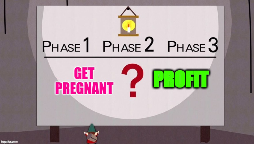 https://imgflip.com/i/58lu9z | PROFIT; GET PREGNANT | image tagged in gnome plan | made w/ Imgflip meme maker