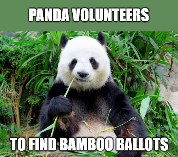 Bamboo expert offers free services to Arizona "election auditors" | PANDA VOLUNTEERS; TO FIND BAMBOO BALLOTS | image tagged in election 2020,maricopa county,arizona,sham audit,cyber ninjas,bamboo ballots | made w/ Imgflip meme maker